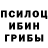 Галлюциногенные грибы GOLDEN TEACHER Alex Osinovsky