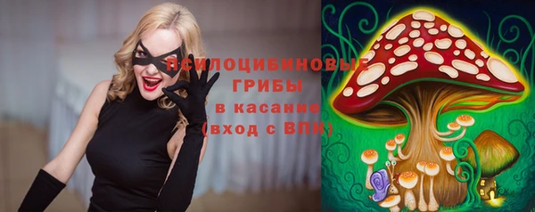 эйфоретик Новозыбков