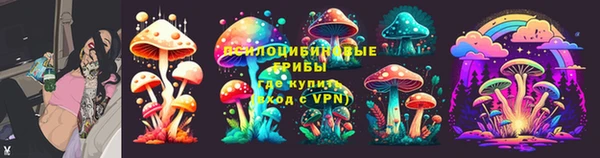 эйфоретик Новозыбков