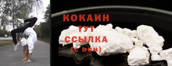 сатива Новодвинск