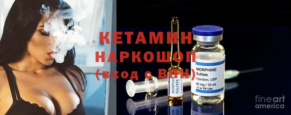 сатива Новодвинск