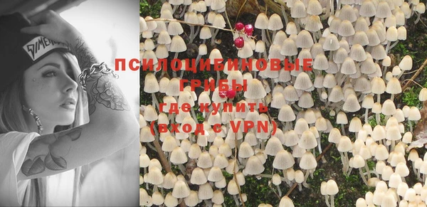 эйфоретик Новозыбков