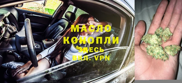 сатива Новодвинск