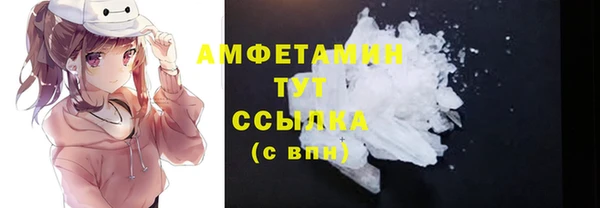 сатива Новодвинск