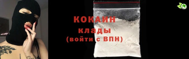 сатива Новодвинск