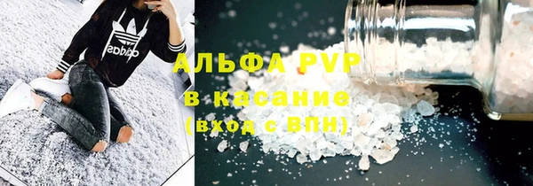 сатива Новодвинск
