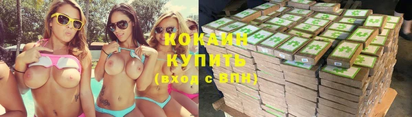 сатива Новодвинск