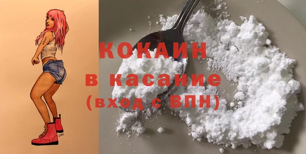 сатива Новодвинск